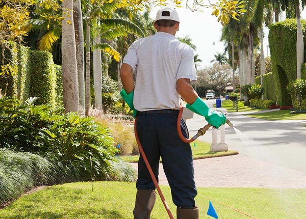 About Little Switzerland NC Pest Control